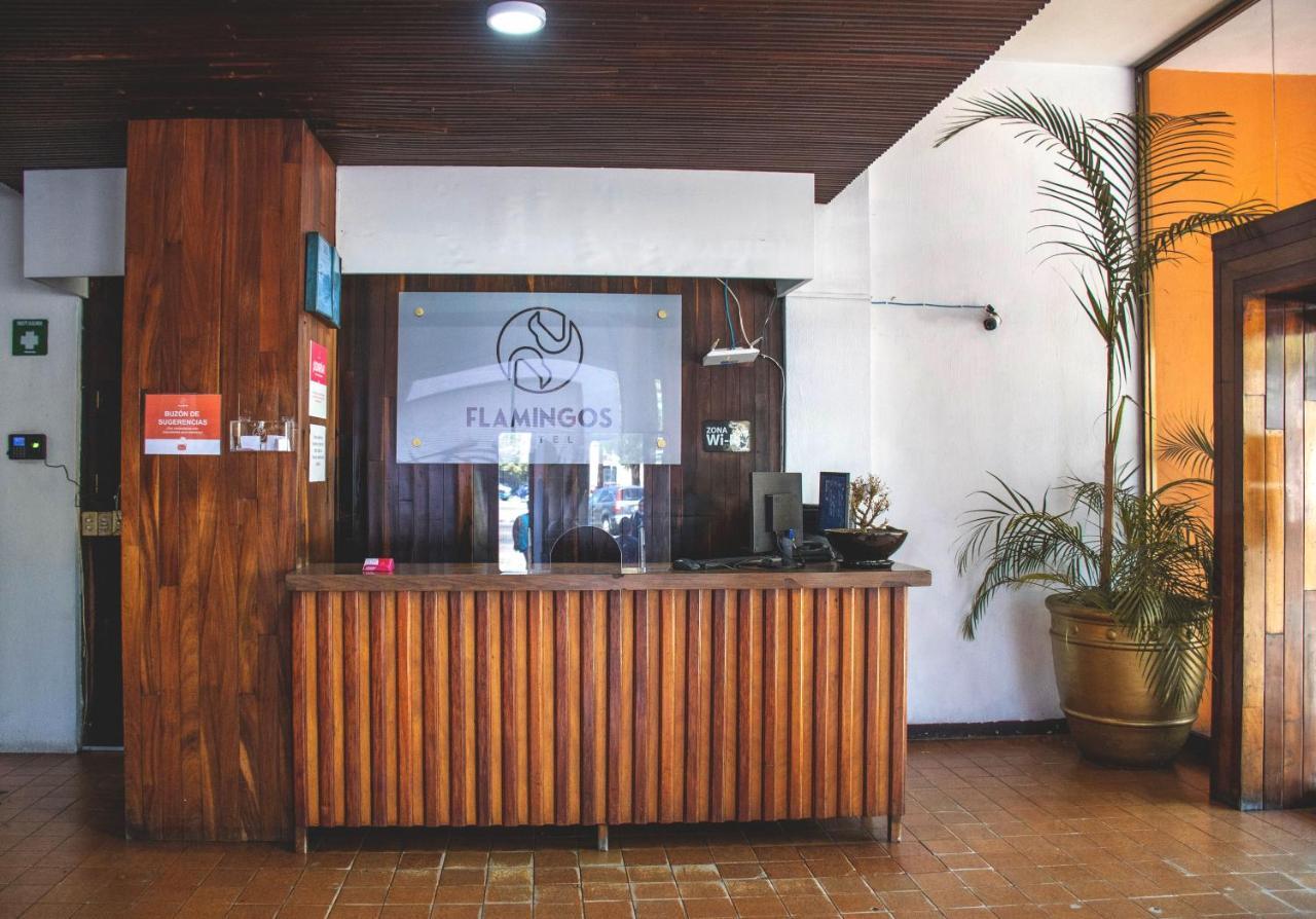 Hotel Flamingos Guadalajara Esterno foto